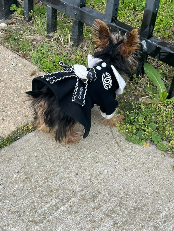 Coco Pup Couture Dress – Milo's Way Luxury Pet Boutique Coco Pup Couture Dress – Milo's Way Luxury Pet Boutique