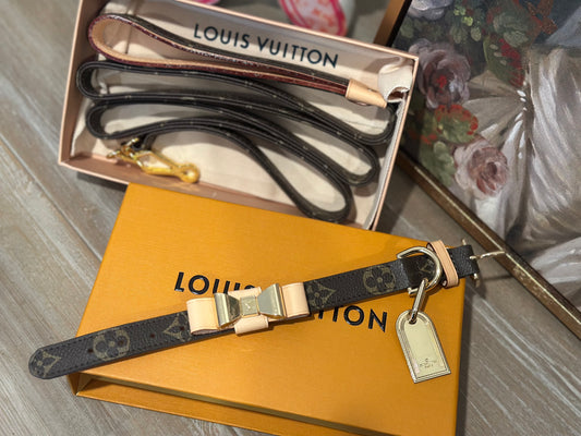 Louis Pawton Leash and Collar