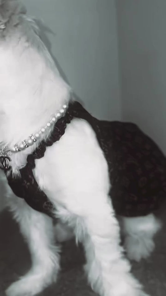 Furry Vuitton Dress